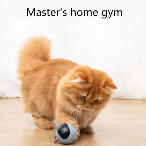 Smart Interactive Rotating Ball Cat Toy - Image 2